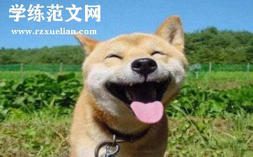 读书都快乐演讲稿通用6篇