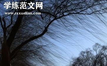 《秋天的风》作文模板7篇