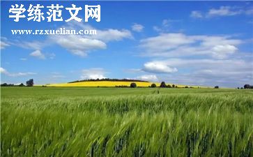 《秋天的风》作文6篇