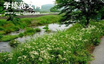 夏天的风作文200字参考5篇
