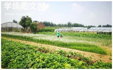 幼儿园买菜的教案7篇