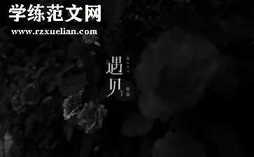 《遇见温暖》作文8篇