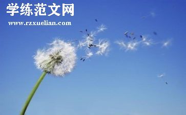 小学生义卖活动策划8篇