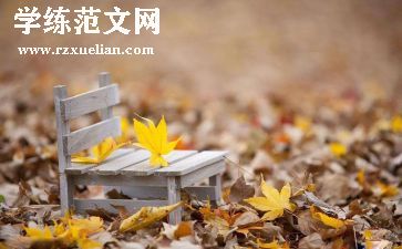 初中经历的作文7篇