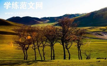 物业中秋活动方案策划8篇