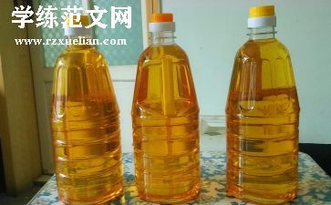 加油加油的作文推荐8篇