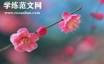 关于梅花的作文优质6篇