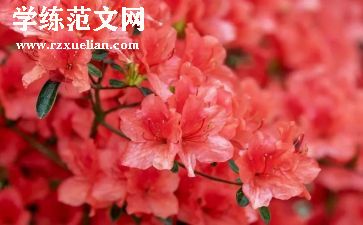 雪花的教学反思5篇
