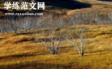 画四季教案6篇
