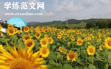美容院活动方案策划5篇