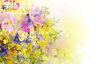 朝花夕拾的读后感范文6篇