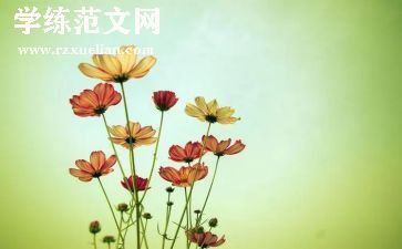 朝花夕拾的读后感范文推荐6篇