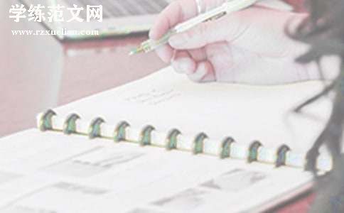 新媒体试用期工作总结