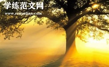 春光里的作文6篇