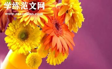 读了朝花夕拾的读后感300字最新6篇