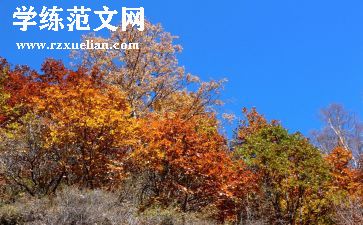 秋游优秀作文通用6篇