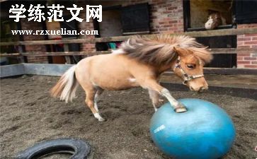 社会过马路的教案6篇