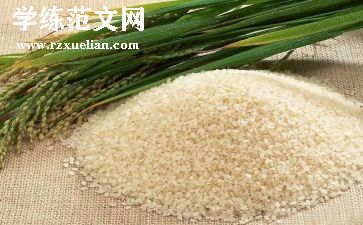 大米销售合同6篇