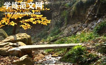 《心灵深处》作文优秀5篇