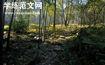 《心灵深处》作文参考7篇