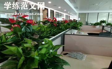 租摆合同6篇