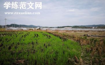 淘宝店铺租赁合同5篇