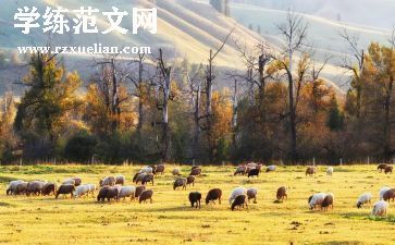 中国新疆三历史印记心得体会精选8篇