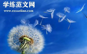展风采演讲稿精选5篇
