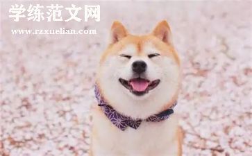 微笑的生活演讲稿600字5篇