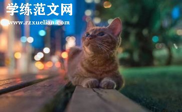 期待作文800字7篇