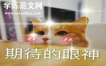 期待作文400字7篇