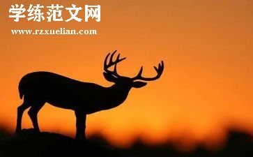 《秋天的树叶》教案6篇