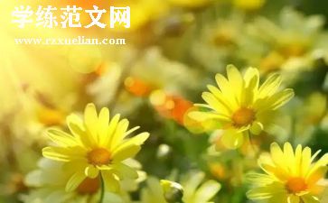做最好教师心得体会7篇