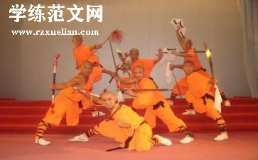武术队工作总结6篇