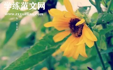 做最好老师的读书心得模板5篇