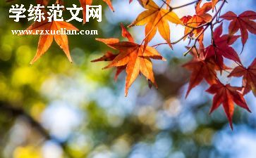 情景式教案5篇