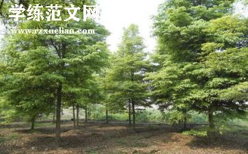 植树活动的心得精选7篇