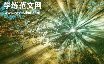 阳光演讲稿范文7篇