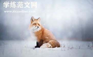 狐狸与鹤读后感优秀7篇