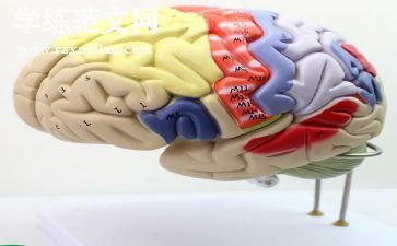 办公电脑采购合同8篇