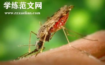 2024疟疾宣传总结5篇