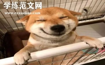 快乐鸟教学反思通用5篇