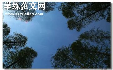 幼儿园树叶教案7篇