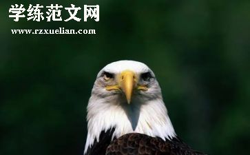 幼儿园老鹰抓小鸡的教案5篇