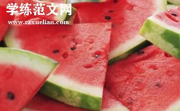 蚂蚁搬西瓜教案7篇