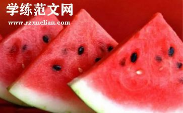 蚂蚁搬西瓜教案参考5篇