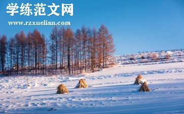 寒假服务员实践报告5篇