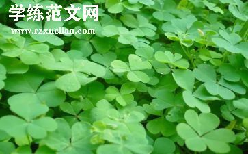 草莓花作文最新8篇