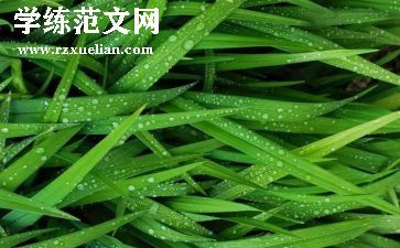 草莓花作文优秀6篇