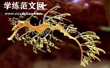 生物调查报告参考7篇